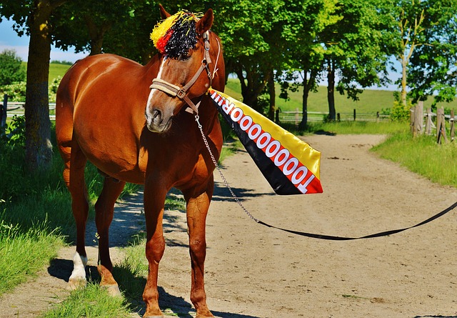 己的能力 己的能力