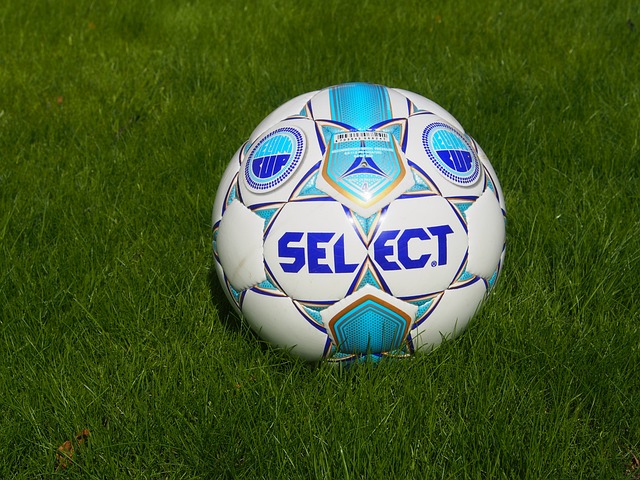 家进行了会 家进行了会