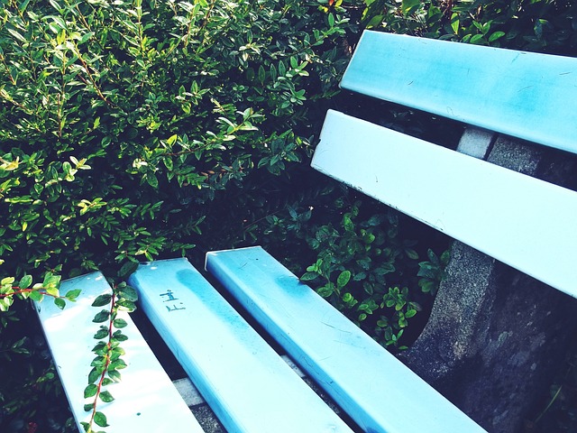 曝李昂吳曦攜手加盟上海海港 兩人經紀人為同一人.