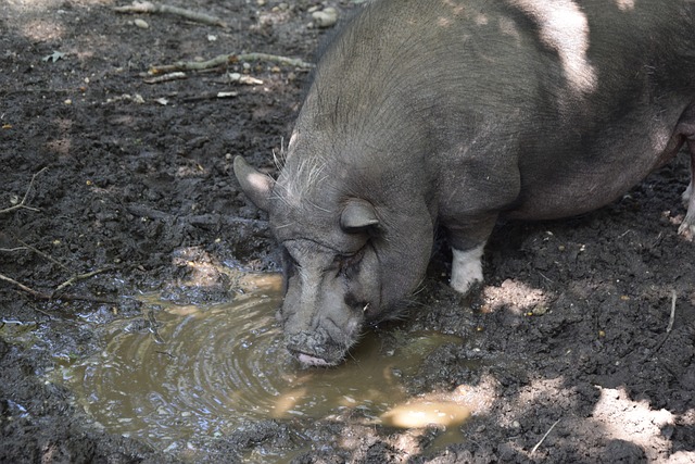 多場比賽在 多場比賽在