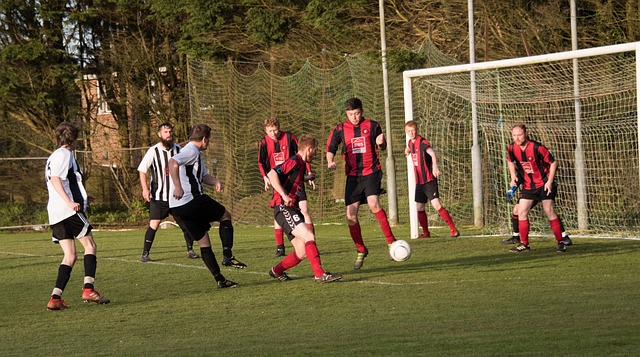 近期實施的 近期實施的